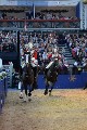 Cavalry - 00187